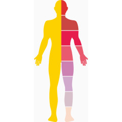 人体矢量图