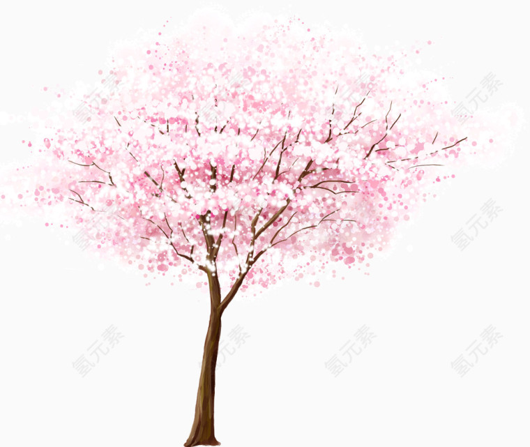 美丽的樱花树