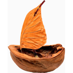 树叶免抠图素材PNG