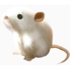 装饰图片素材装饰图标