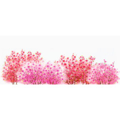 樱花树