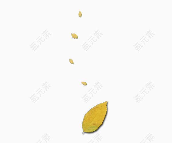 秋天的落叶