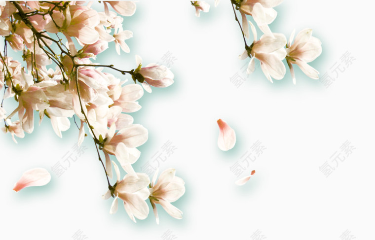 粉色花朵