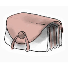 文件夹回到学校