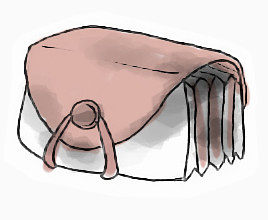 文件夹回到学校