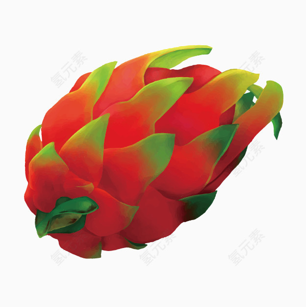 卡通手绘火龙果