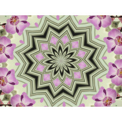 紫色唯美彩色曼陀罗装饰图案