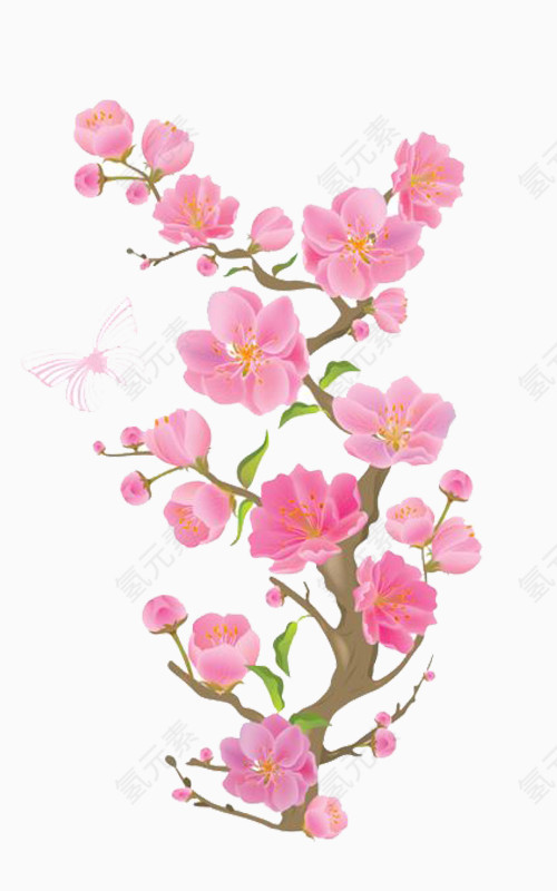 桃花树枝