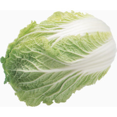 娃娃菜 