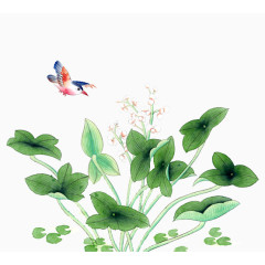 卡通手绘花鸟
