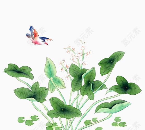 卡通手绘花鸟