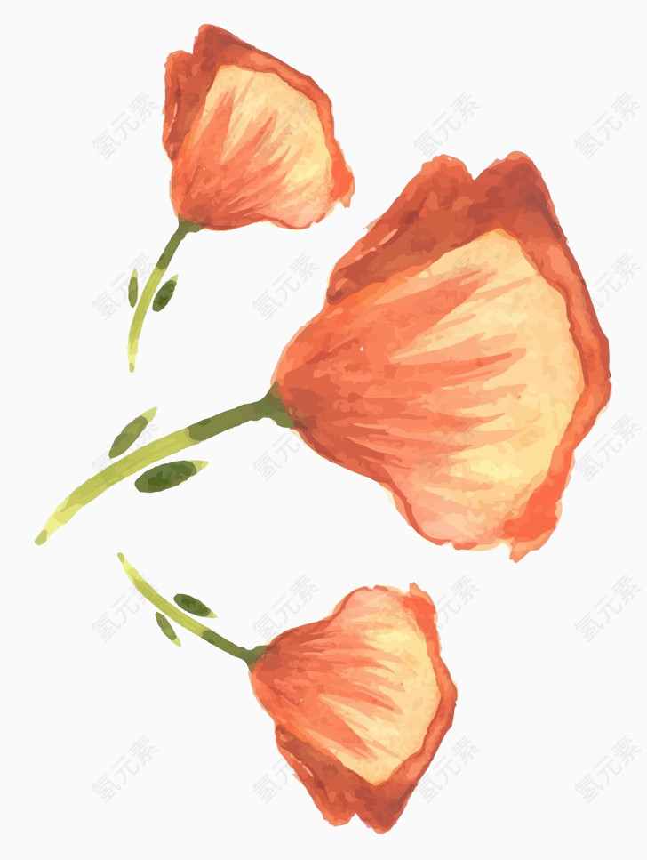 水彩手绘花束