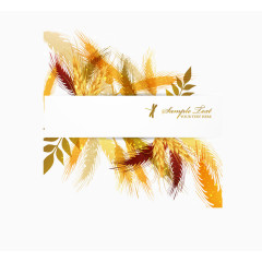 秋天手收获麦穗