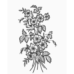 免抠黑色花纹素材