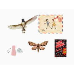 矢量猫头鹰飞蛾服装卡片