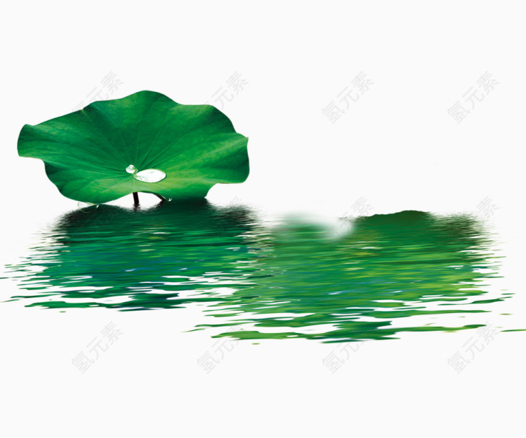 荷叶水效果