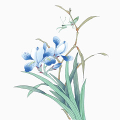 手绘兰花