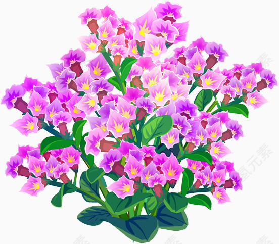 花枝