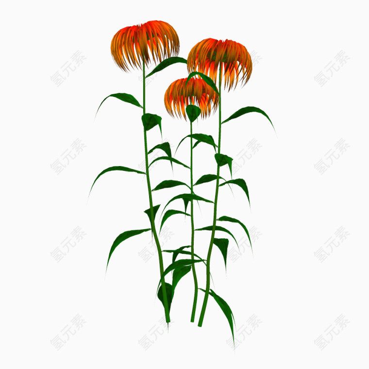花卉矢量图素材创意花草图片