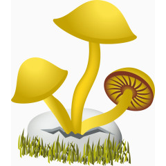手绘蘑菇
