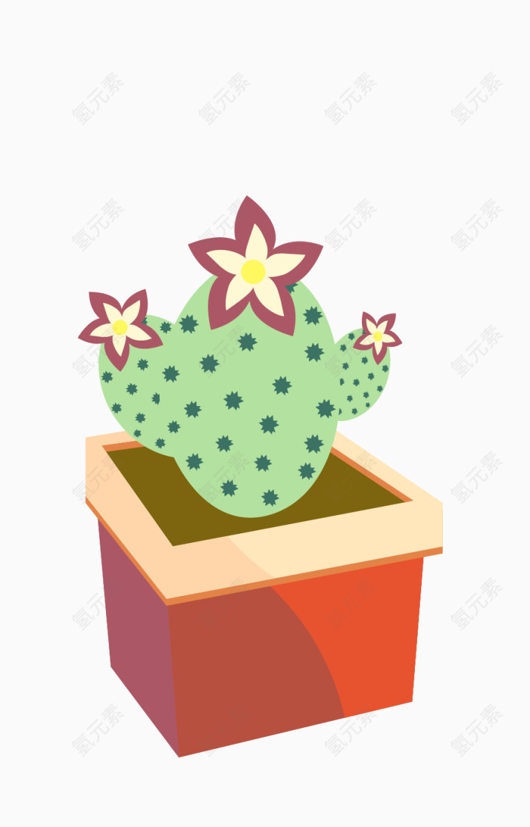 卡通多肉仙人掌盆栽