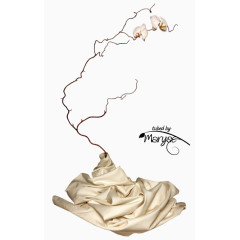 唯美花草图片创意花卉图片