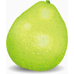 绿色柚子矢量图