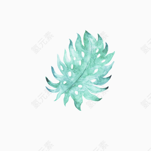 手绘插画纹理树叶元素
