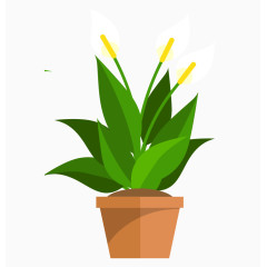 卡通植物盆栽