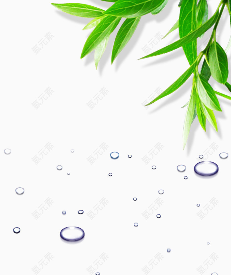 竹叶水珠