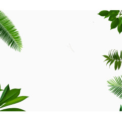 绿色树叶边框点缀元素