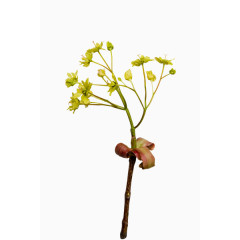 古风装饰图案装饰剪影