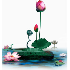 水墨荷花