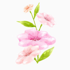 花朵