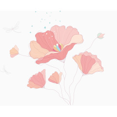 手绘绽放的花朵