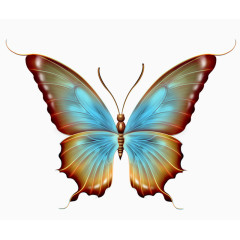 手绘逼真蝴蝶