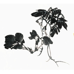 手绘花卉