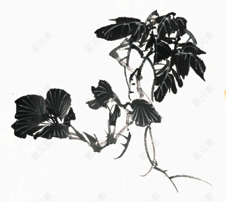 手绘花卉