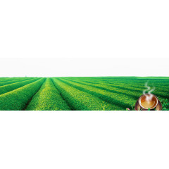 茶文化轮播海报