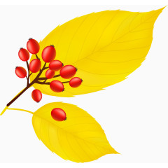 卡通装饰黄树叶