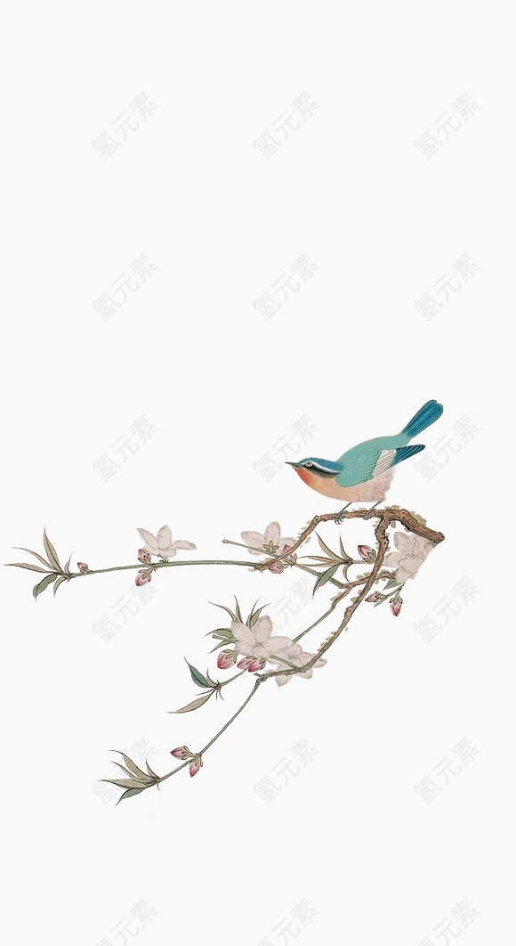 卡通手绘中国风花鸟