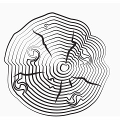 银灰色树桩年轮