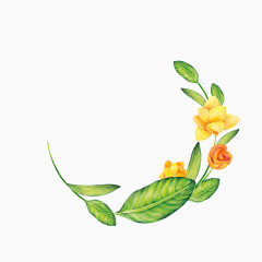 庆典花卉花卉图片素材  精美花枝