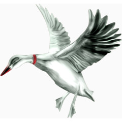 手绘虫鸟元素卡通虫鸟元素