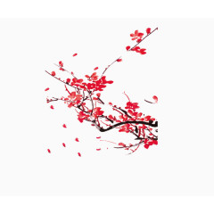 飘洒梅花