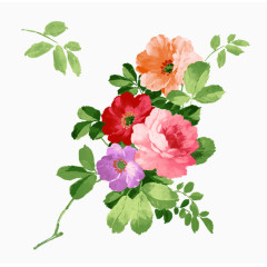 红色小花朵手绘插画