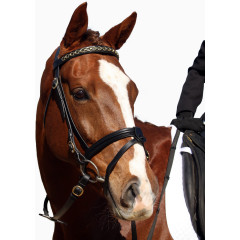 手绘马手绘马素材