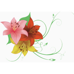 彩色百合花矢量素材