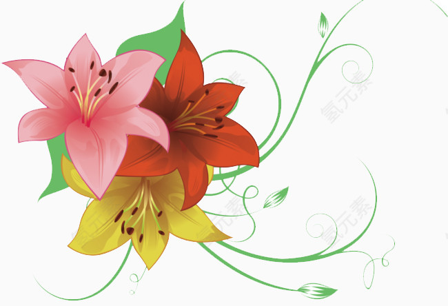 彩色百合花矢量素材