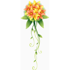 一簇橘色星型花朵